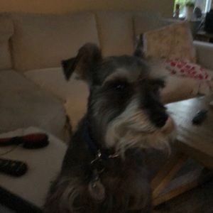 Meet your Posher, Maria luisa